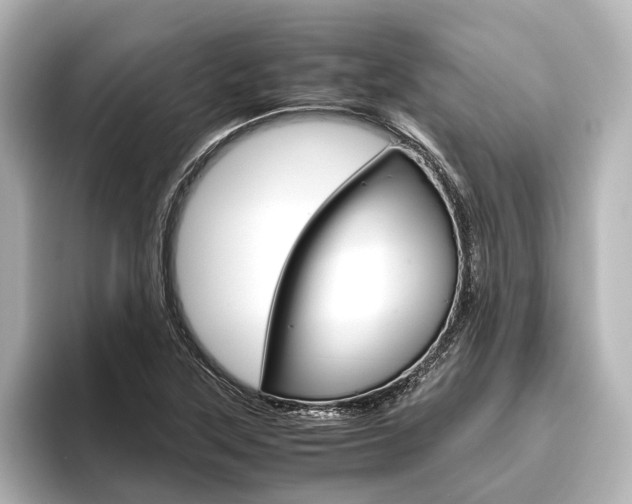 X0000096421315200801240955