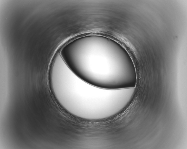 X0000096421316200801240955