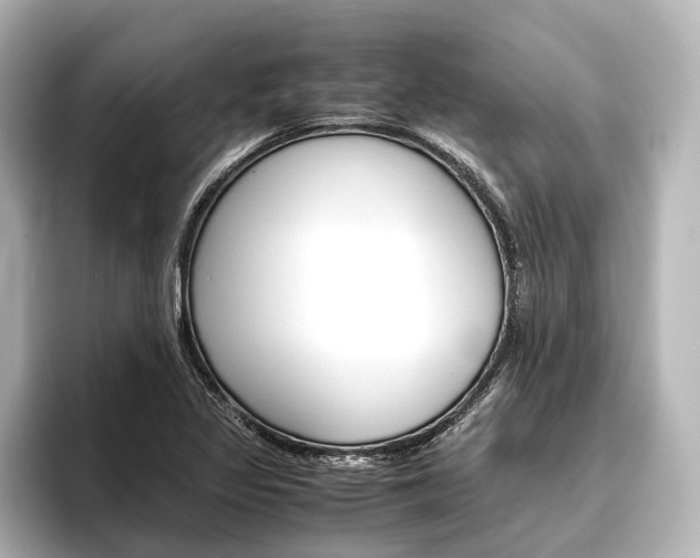 X0000096421317200801240955