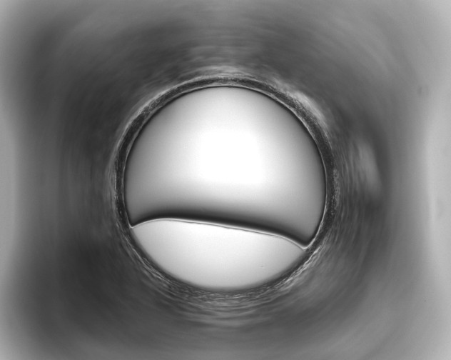 X0000096421318200801240955