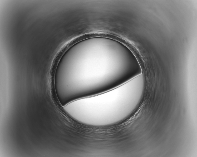 X0000096421319200801240955
