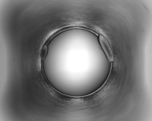 X0000096421320200801240955