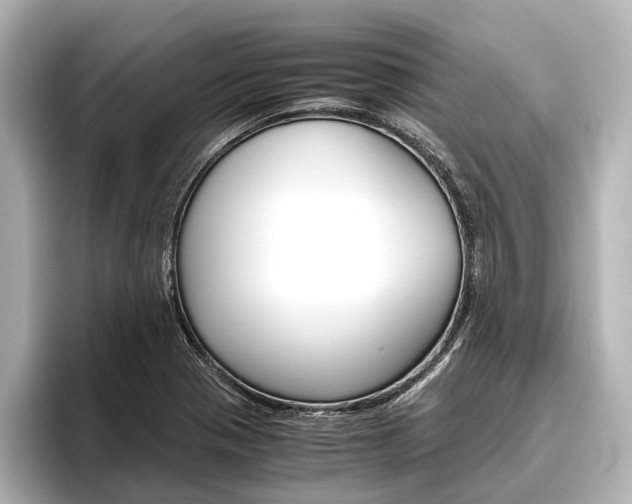 X0000096421321200801240955