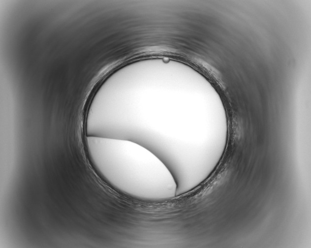 X0000096421322200801240955