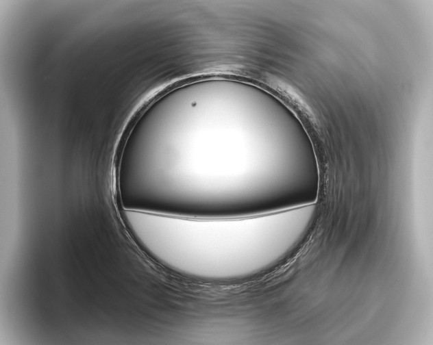 X0000096421324200801240956