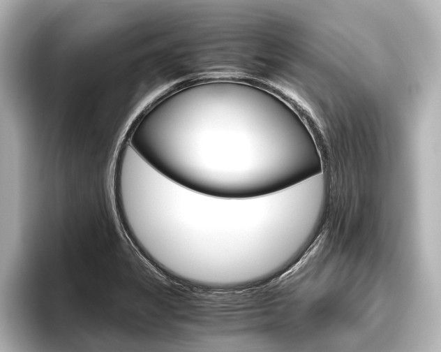 X0000096421325200801240956