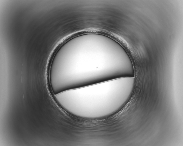 X0000096421327200801240956