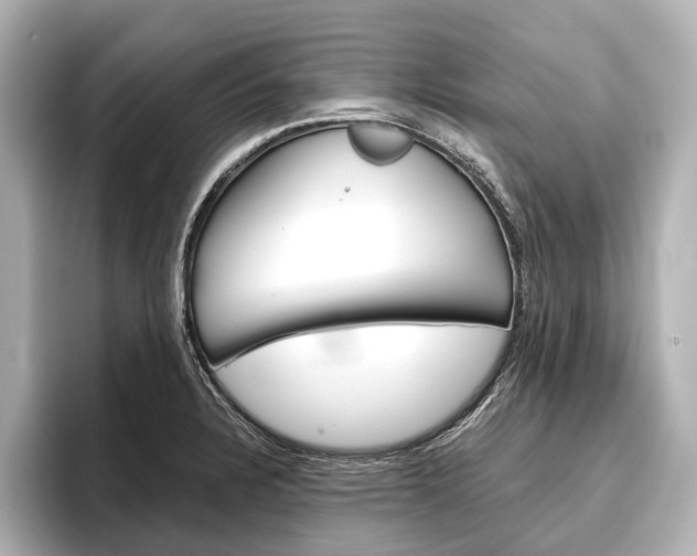 X0000096421328200801240956