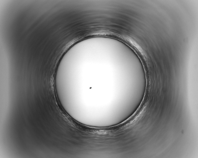 X0000096421329200801240956