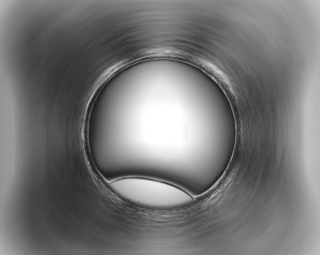 X0000096421330200801240956