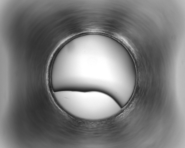 X0000096421331200801240956