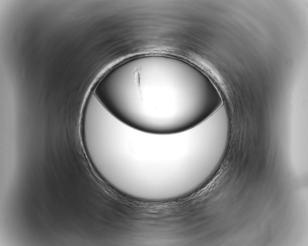 X0000096421332200801240956