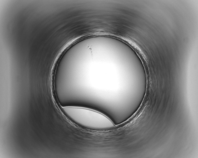 X0000096421333200801240956