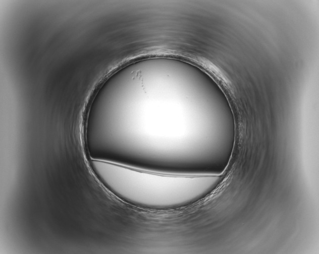 X0000096421334200801240956