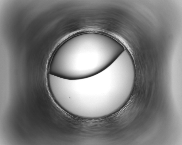 X0000096421335200801240956
