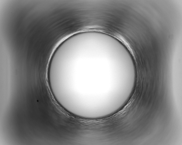 X0000096421336200801240956