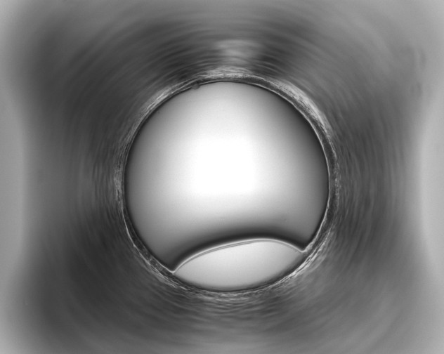 X0000096421337200801240956
