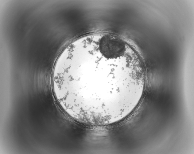 X0000096421338200801240956