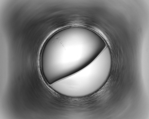 X0000096421339200801240956