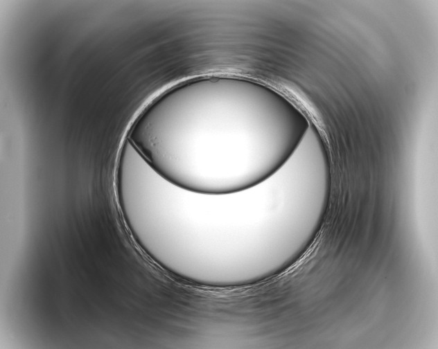 X0000096421340200801240956