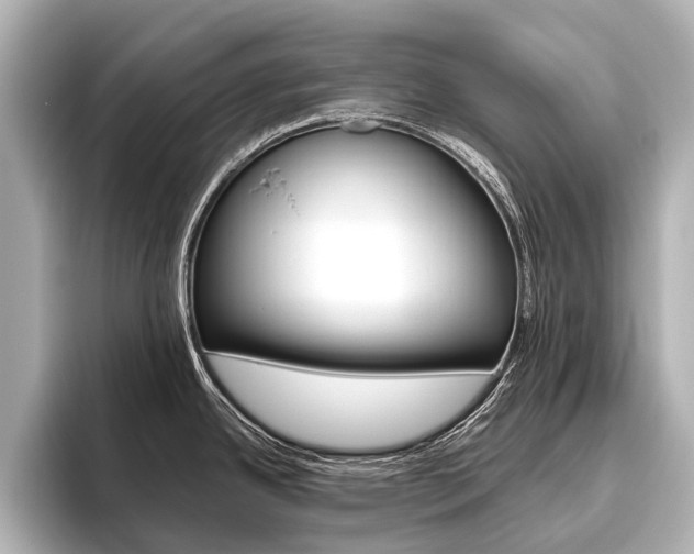 X0000096421342200801240956