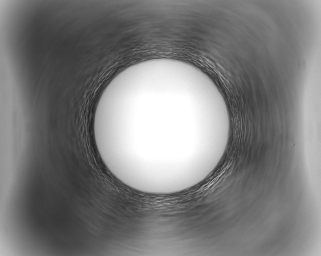 X0000096421345200801240955