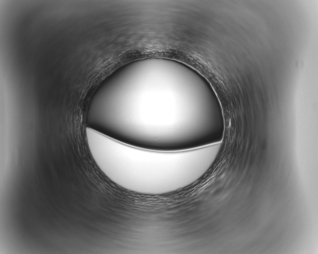 X0000096421348200801240955