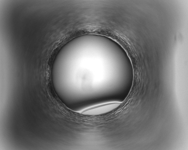 X0000096421349200801240955