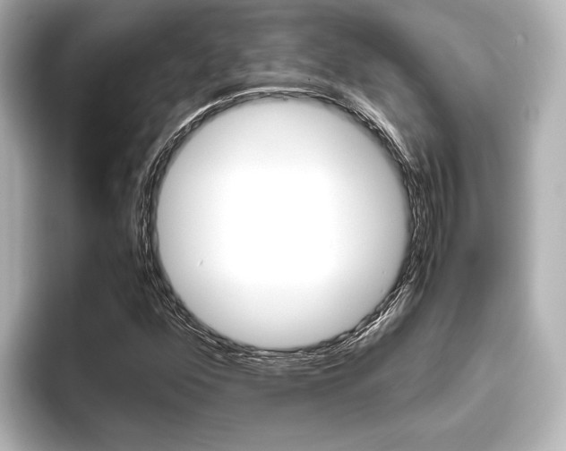 X0000096421352200801240955