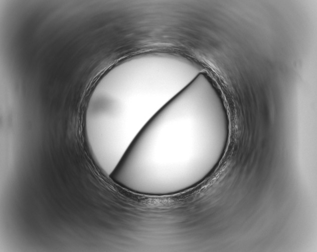 X0000096421354200801240955
