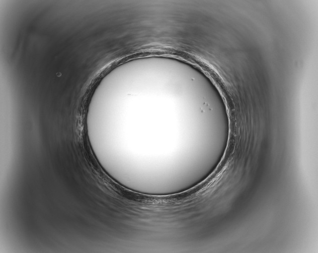 X0000096421355200801240955