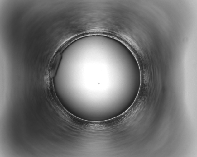 X0000096421356200801240955