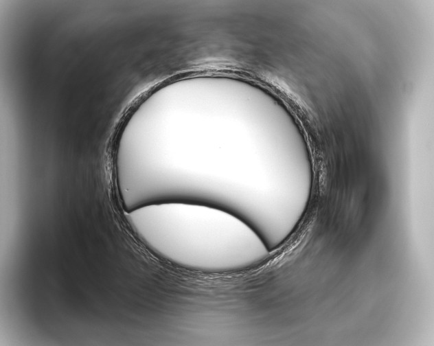 X0000096421358200801240955
