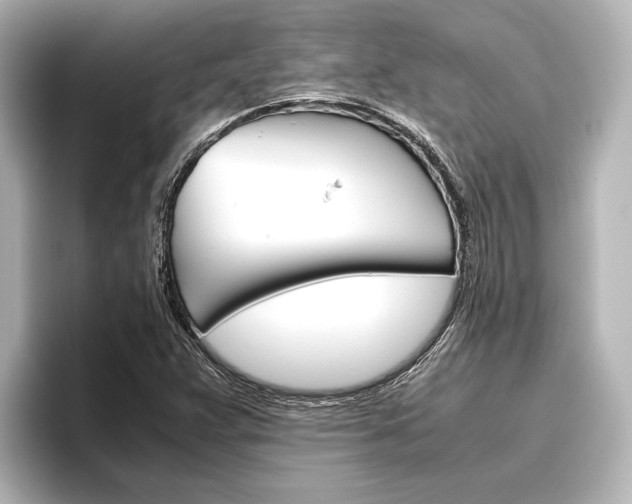 X0000096421359200801240955