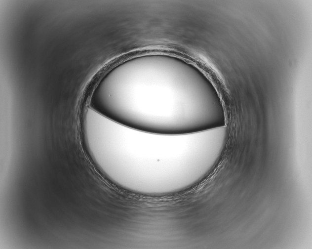 X0000096421360200801240955