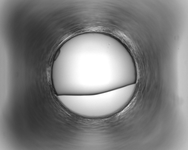 X0000096421361200801240955