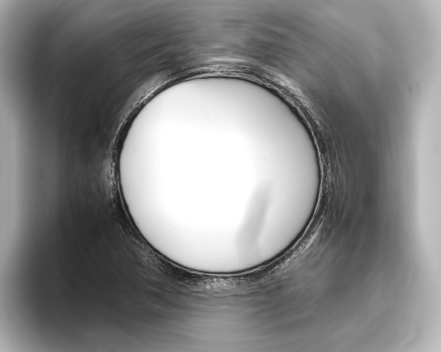 X0000096421362200801240955