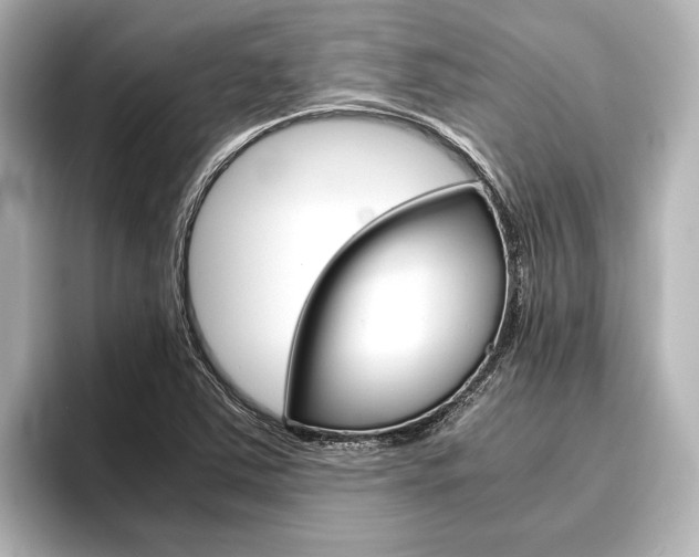 X0000096421363200801240955