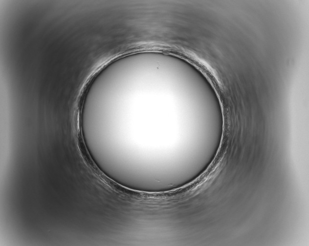 X0000096421365200801240955