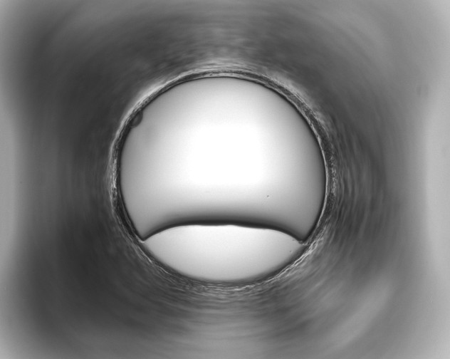 X0000096421366200801240955