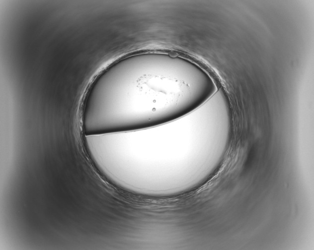 X0000096421367200801240955