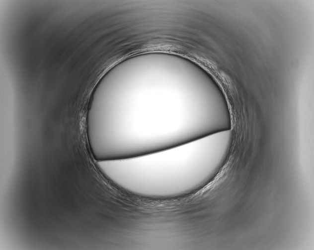 X0000096421369200801240955