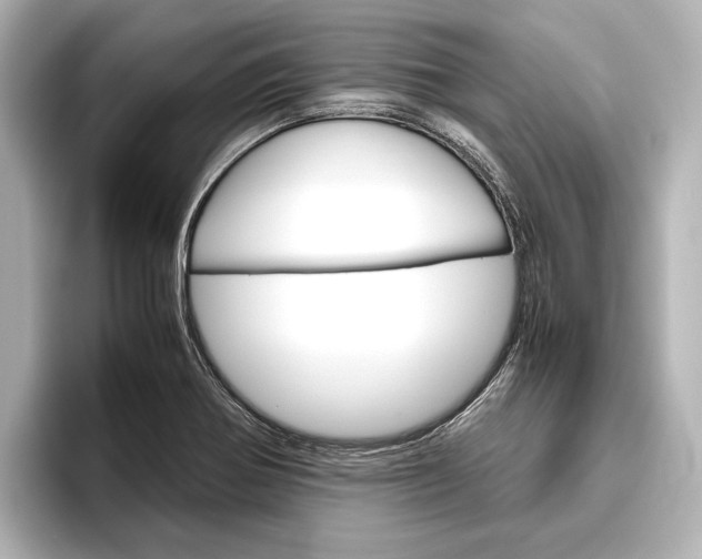 X0000096421370200801240955