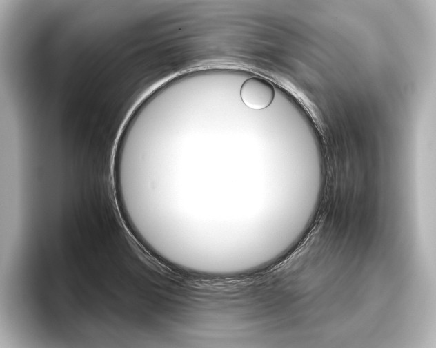X0000096421372200801240955