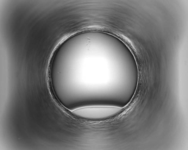 X0000096421373200801240955