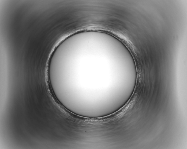 X0000096421374200801240955