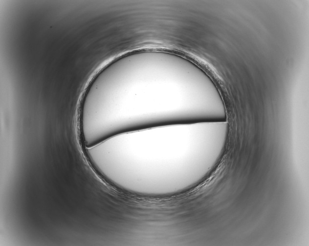 X0000096421375200801240955