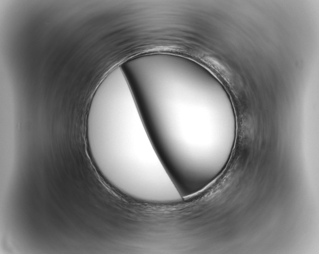 X0000096421377200801240955