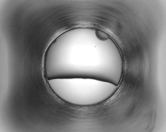 X0000096421378200801240955