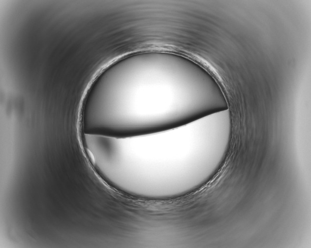 X0000096421379200801240955